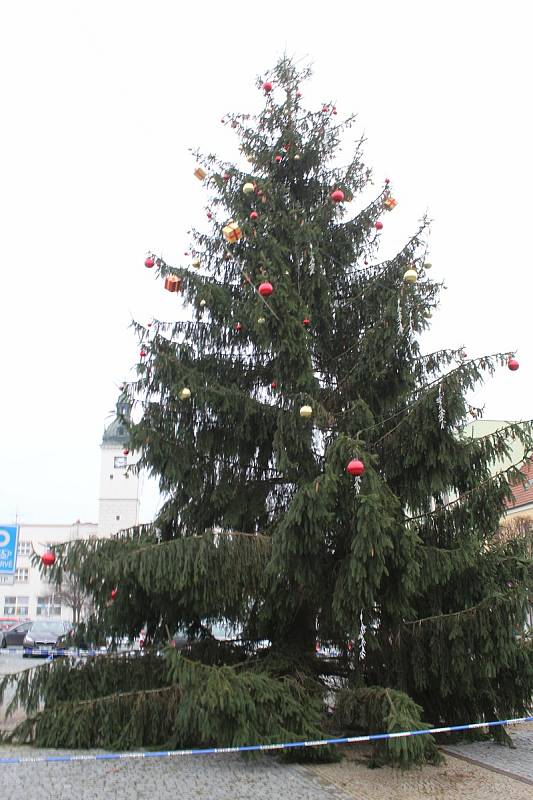 Vánoční strom v Kyjově, snímek z loňského roku.