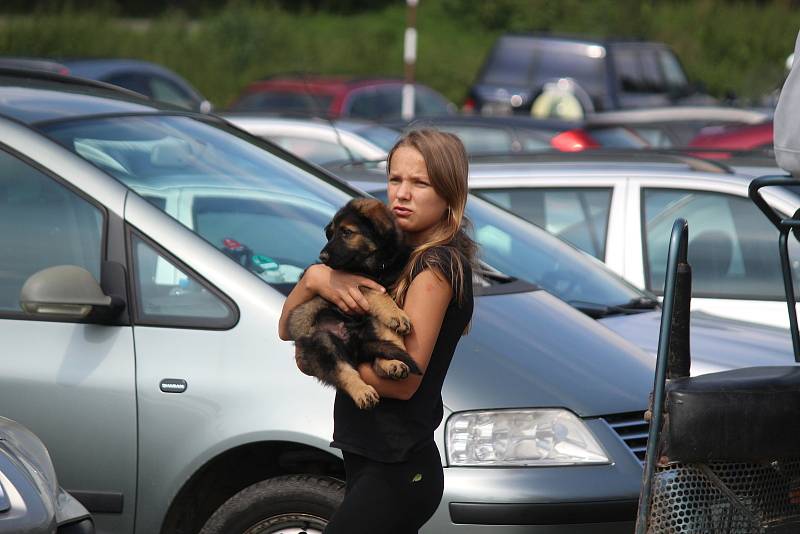 Na závodišti v Rosicích na Brněnsku se jel už patnáctý ročník vozatajských závodů chladnokrevných koňů, který byl kvalifikací na celostátní finále v Tlumačově.