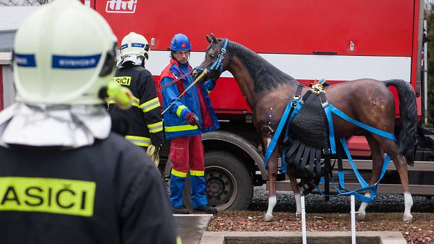Jak vytáhnout koně z propasti a nezranit jej se v úterý učili hasiči Jihomoravského a Libereckého kraje v brněnském Školním a výcvikovém centru. Obě jednotky totiž dostaly novou výbavu, záchrannou síť.