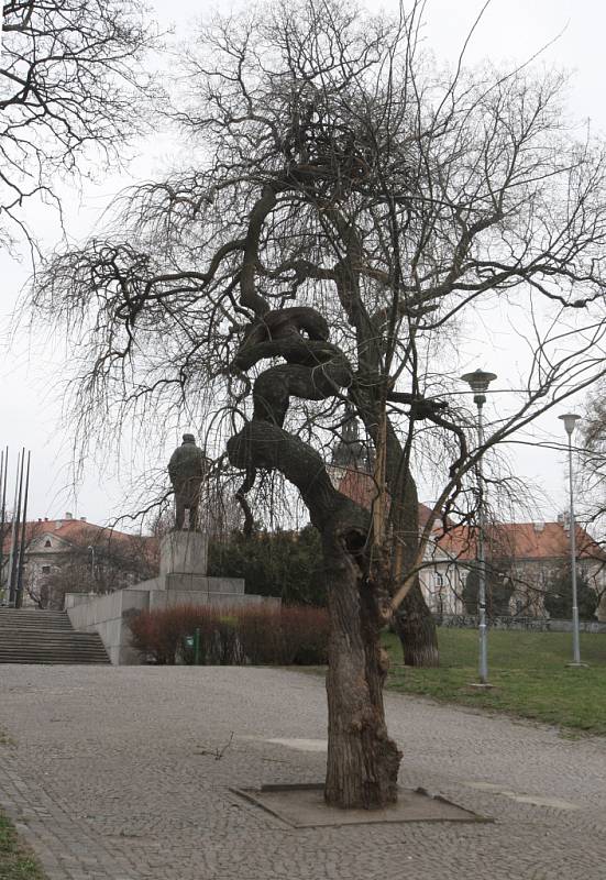 Centrum Brna chrání před hlukem z malého dopravního okruhu park Koliště. Zároveň obklopuje prostor mezi Janáčkovým a Mahenovým divadlem. Ke známým stavbám přímo v parku patří Zemanova kavárna a Dům umění. 