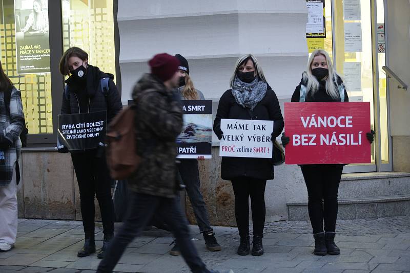 Spolek Zvířata nejíme pořádá tradiční předvánoční protest proti pouličnímu prodeji kaprů. Ten je spojen s jejich zabíjením přímo na stáncích, což se aktivistům nelíbí.