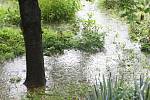 Stačila jedna deštivá noc a zahrada rodiny Janouškovy z brněnských Řečkovic se proměnila v rybník. Rodina tvrdí, že je na vině nejen deštivé počasí, ale především ucpané koryto blízkého potoka Ponávka. 