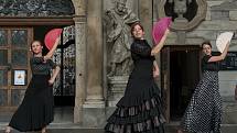 Moravské náměstí v Brně a prostor před Moravskou galerii patřily akci s názvem Flamenco pro všechny.
