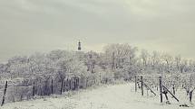 Zima dorazila do Ivančic a sníh pokryl město i okolí.