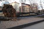 Na dětské hřiště v královopolské Šelepově ulici se kvůli silnému větru zřítil vzrostlý strom.