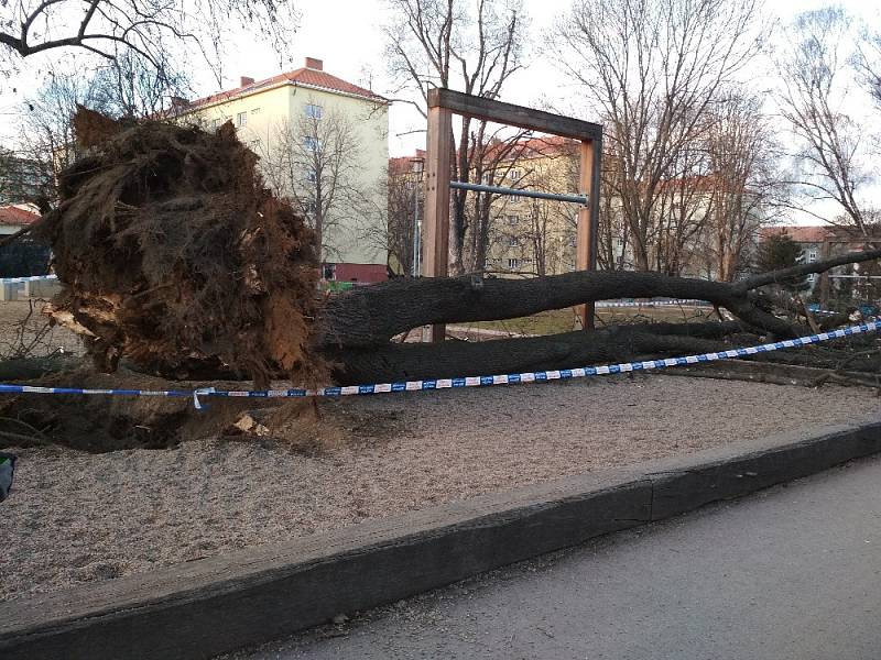 Na dětské hřiště v královopolské Šelepově ulici se kvůli silnému větru zřítil vzrostlý strom.