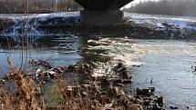 V pátek osmého ledna se výška hladiny řeky Moravy v měřicí stanici Strážnice pohybovala jen něco málo přes metr. Průtok vody dokonce spadl až na třináct a půl kubíku za sekundu.