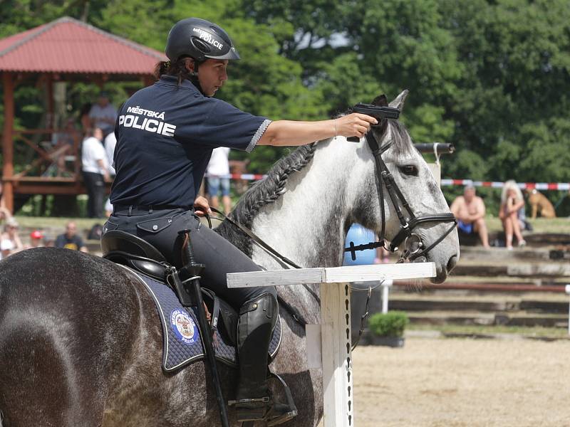 Přehlídku jezdeckých policistů z celé České republiky viděli v sobotu návštěvníci na Mezinárodním policejním mistrovství v jezdectví. V jezdeckém areálu Panská Lícha v brněnské Lesné si zasoutěžili ve skokovém derby nebo třeba policejním parkuru.