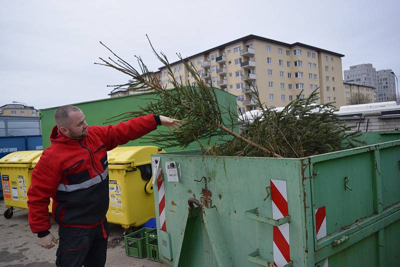 Sběrné středisko odpadu Dusíkova v Brně, kam lidé vozí Jakubu Doležalovi vánoční stromky.