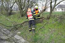 Silný vítr ve čtvrtek na jihu Moravy vyvracel stromy a komplikoval hašení.