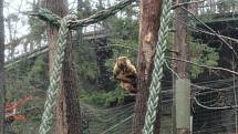 V brněnské zoo je Štědrý den pro zvířata jako každý jiný. Letos ovšem poprvé bez návštěvníků kvůli koronaviru.