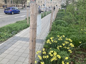 Za plotem zůstává park na Moravském náměstí v Brně. Zástupci Brna-středu řeší s architekty novou podobu.