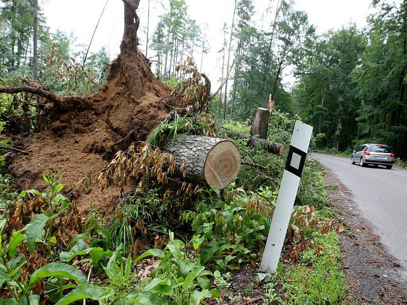 Následky vichřice mezi Vranovem a Útěchovem.