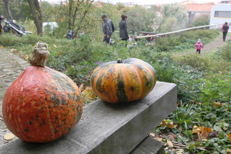 Lidé slavili příchod podzimu. Vyřezáváním dýní a ochutnávkami koláčů.