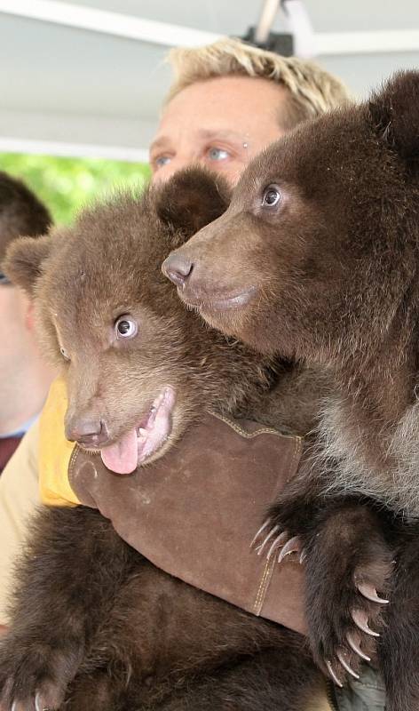 V brněnské zoo slavnostně pokřtili mláďata medvěda kamčatského. Lidé jim vybrali jména Kuba a Toby.