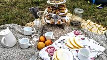 Akce Česko jde spolu na piknik vyzvala lidi z různých míst naší země, aby pořádali ve stejný čas piknik. Na snímku akce v Městci na Nymbursku.