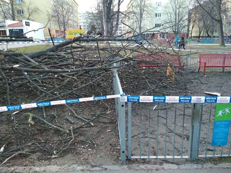 Na dětské hřiště v královopolské Šelepově ulici se kvůli silnému větru zřítil vzrostlý strom.