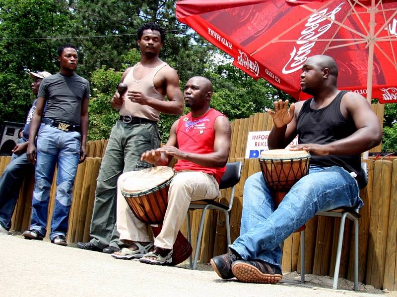 Afričtí tanečníci a bubeníci rozhýbali ZOO