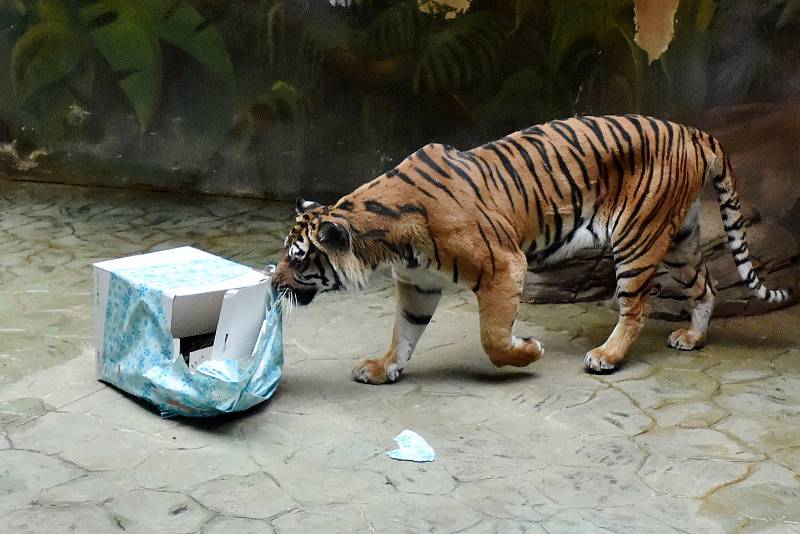 Brněnská zoologická zahrada.