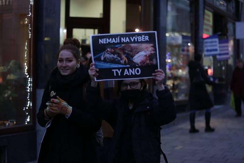 Spolek Zvířata nejíme pořádá tradiční předvánoční protest proti pouličnímu prodeji kaprů. Ten je spojen s jejich zabíjením přímo na stáncích, což se aktivistům nelíbí.