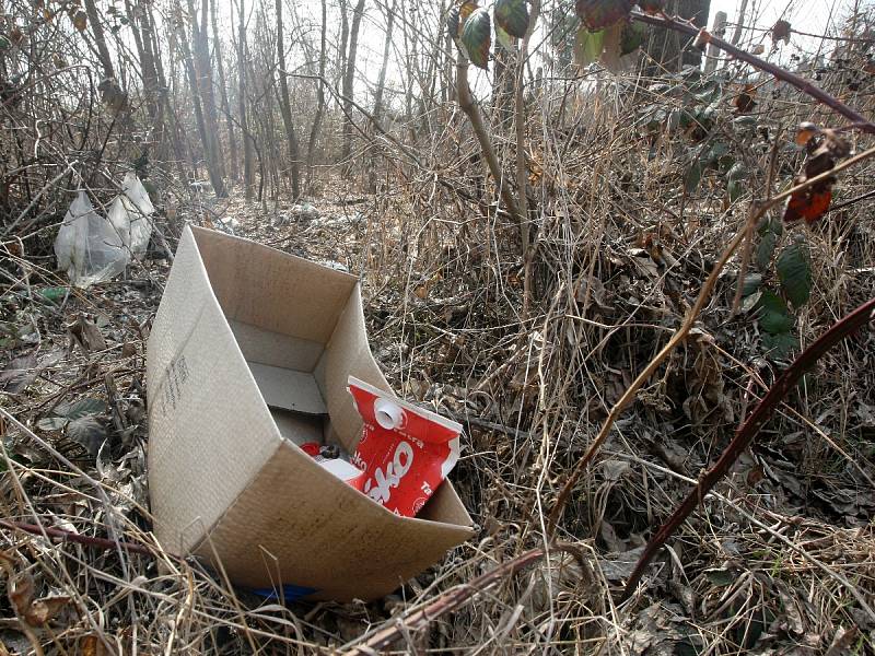 Poházené plastové lahve a plechovky v parcích, černé skládky v lese nebo krabice od vína u řeky. Nepořádek, který hyzdí veřejný prostor, se 8. dubna už počtvrté vydají Brňané uklidit. Startuje akce s názvem Ukliďme Česko.