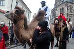 Tříkrálový průvod se třemi velbloudy prošel v úterý odpoledne centrem Brna.