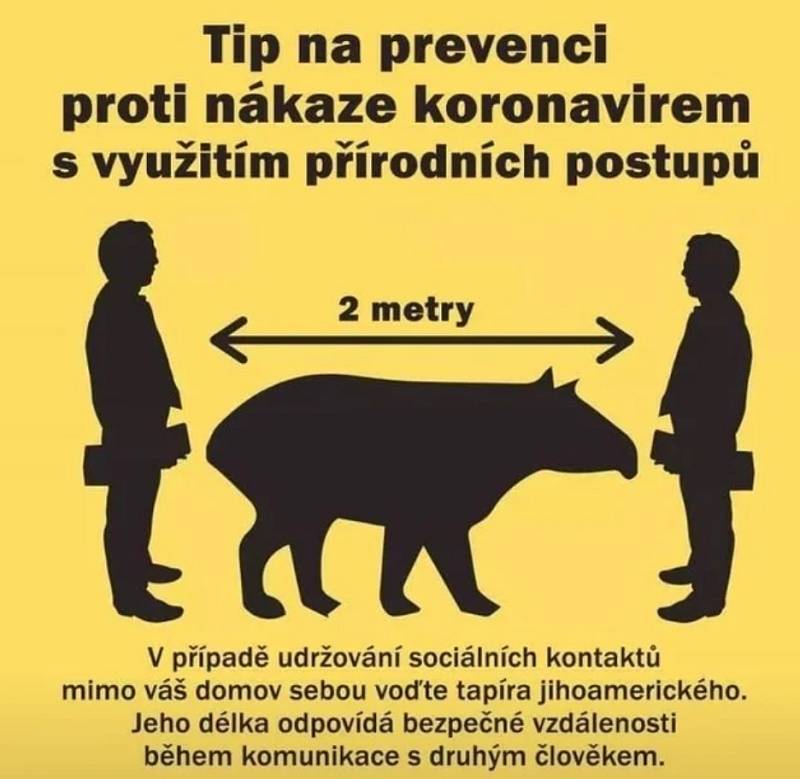 Těmito vtípky na koronavirus se lidé bavili v květnu na sociálních sítích. Poslední týdny zpestřila i ministryně financí Alena Schillerová a její (ne)angličtina.