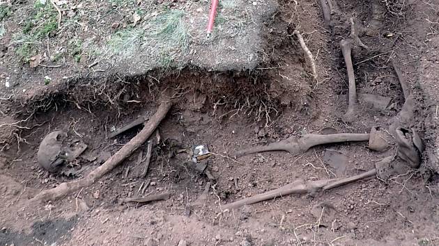 Vojenský hrob s ostatky tří vojáků Rudé armády prozkoumali archeologové v lese u Rozdrojovic na Brněnsku.