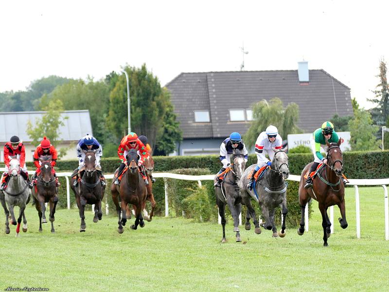 První říjnovou sobotu se letos naposledy otevřely brány dostihového závodiště v Brně-Dvorskách.