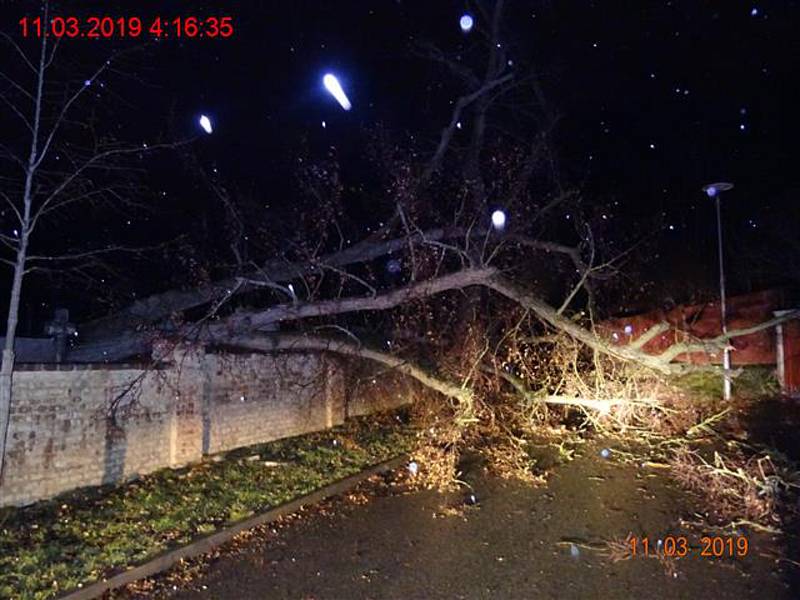 Vyvrácený strom na hřbitově v brněnské Myslínově ulici poničil několik hrobů.