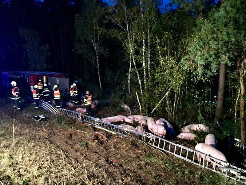 Převrácený kamion s prasaty zablokoval dálnici D1 na 168. kilometru u Devíti křížů.