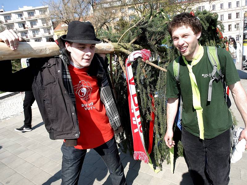 Stavbou tradiční májky zahájili studenti brněnských univerzit majálesové oslavy.