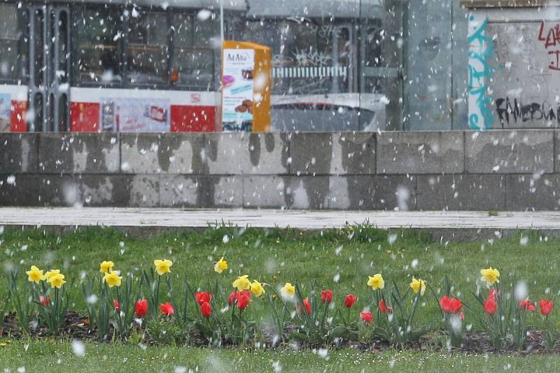 Sníh a teploty jako v únoru. Doslova aprílové počasí ve středu překvapilo nejednoho Brňana.