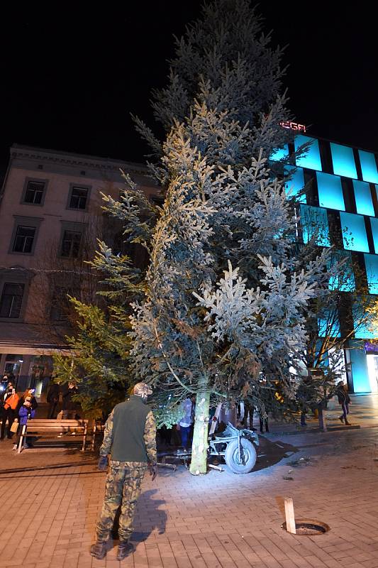 Na brněnském náměstí Svobody už stojí vánoční strom.