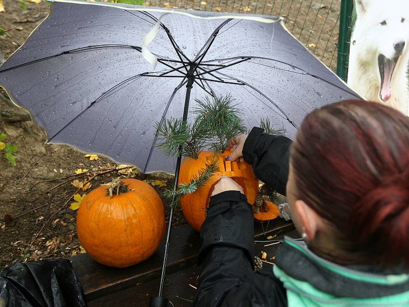 Necelá tisícovka lidí přišla v sobotu oslavit Halloween do brněnské zoo.