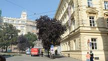 Na dvoře budovy rektorátu Masarykovy univerzity v Brně vybuchly plynové bomby.