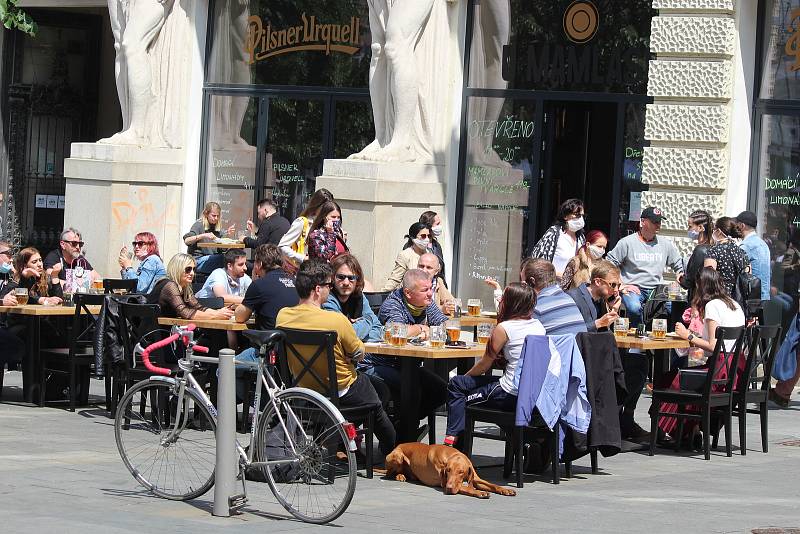 Restauratéři v centru Brna si mohou zahrádky nachystat ještě dřív, než pandemická situace umožní otevření.