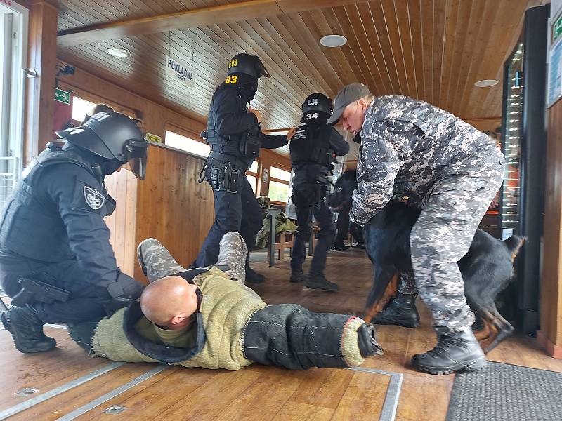 Brněnští strážníci v pondělí cvičili zásah na lodi na hladině Brněnské přehrady.