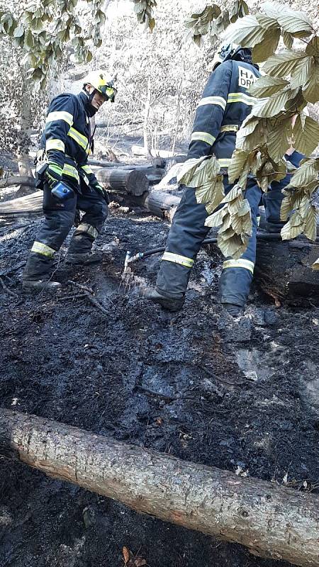 Jihomoravští hasiči zasahují proti rozsáhlému požáru v Českém Švýcarsku.