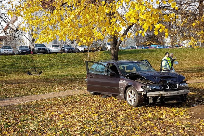 Netradiční pohled do Björnsonova sadu v Brně. Stálo tam o strom nabourané auto.