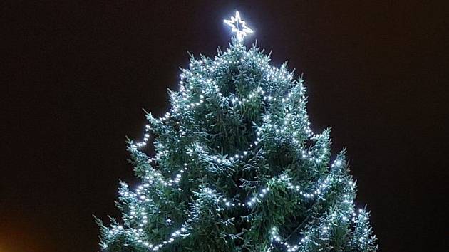 Ilustrační foto. Soutěžící vánoční stromy si prohlédněte v galerii a nezapomeňte zahlasovat v článku.