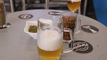 V oboru pivovarnictví se vrchní sládek Martin Hrubeš pohybuje už téměř třicet let. Aktuálně vaří pivo v brněnských Medlánkách.