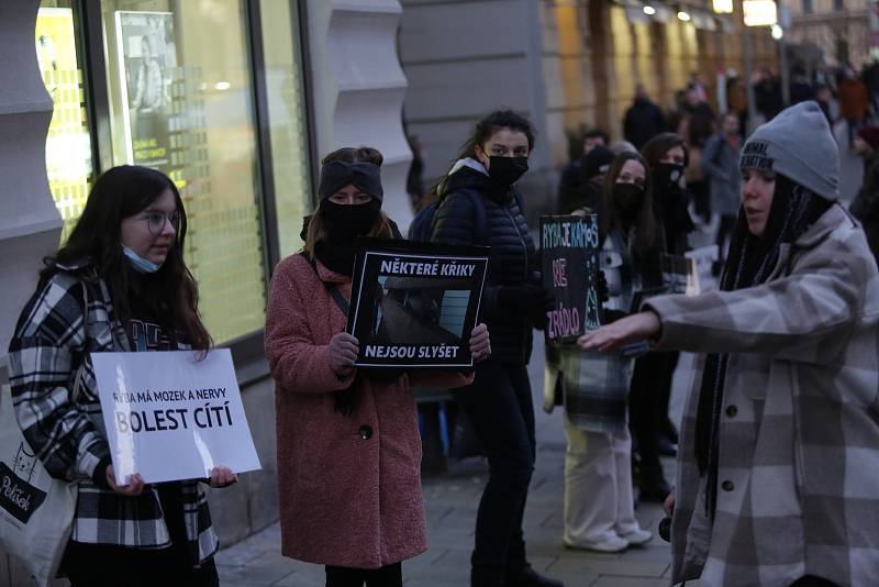 Spolek Zvířata nejíme pořádá tradiční předvánoční protest proti pouličnímu prodeji kaprů. Ten je spojen s jejich zabíjením přímo na stáncích, což se aktivistům nelíbí.