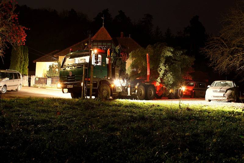 Náměstí Svobody má vánoční strom. Před spadnutím ho chrání dřevěné hranoly.