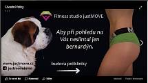 Reklamy nominované v anketě Sexistické prasátečko.