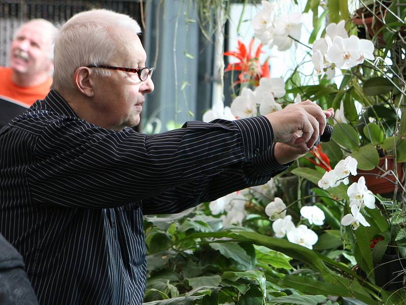 Stovky orchidejí i několik druhů tropických motýlů si zájemci prohlédnou v březnu v Botanické zahradě a arboretu Mendelovy univerzity v Brně.