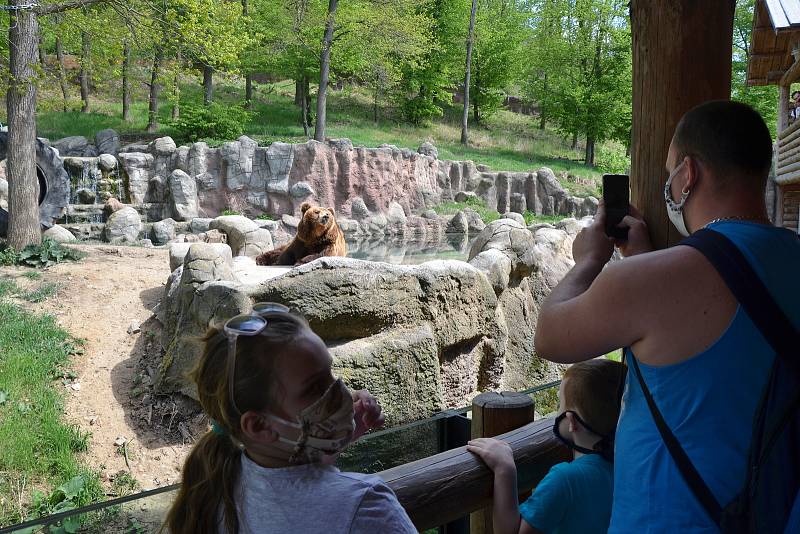 Otevření zoologické zahrady a obchodů v Brně.