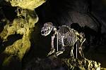 Druhý největší jeskynní systém v České republice, Býčí skála, se tuto sobotu letos poprvé otevřel návštěvníkům.