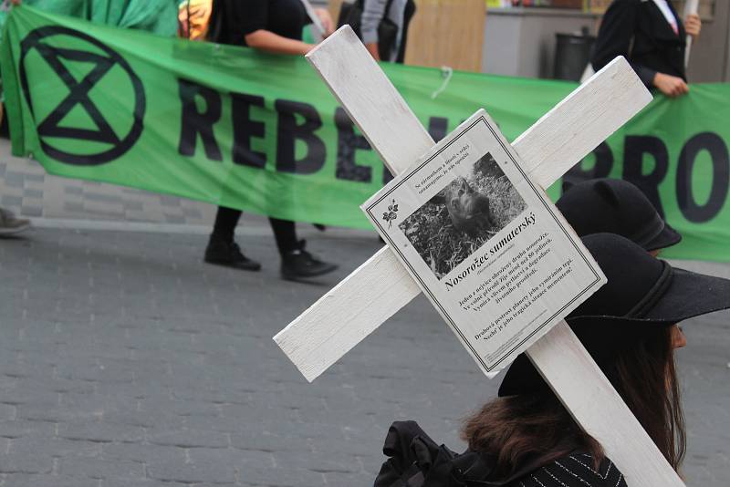 Hnutí Extintion Rebellion a Animal Rebellion a jeho příznivci prošli městem, aby upozornili na vyhynulé druhy a důsledky klimatické změny.