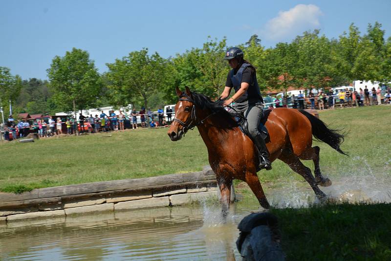 Tradiční Mezinárodní policejní mistrovství v jezdectví se konalo v sobotu v brněnském areálu Panská Lícha.